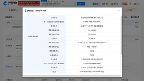 陳震關(guān)聯(lián)公司擬注銷 計(jì)算機(jī)系統(tǒng)集成服務(wù)的市場變遷與行業(yè)反思