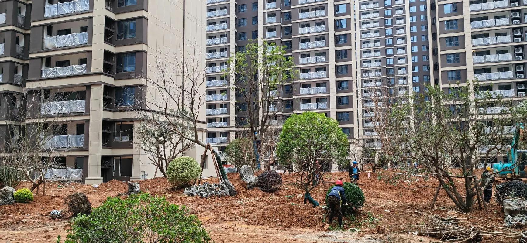 香樟一立，綠意盎然——記小區園林綠化工程施工現場